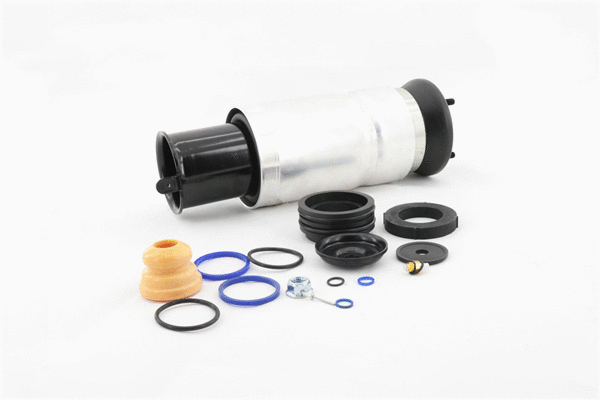 Air Spring, suspension (6410290)