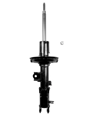 Shock Absorber (8250718)