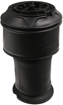 Air Spring, suspension (6510110)