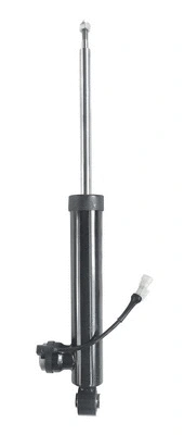 Shock Absorber (6360161)