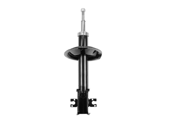 Shock Absorber (8262129)