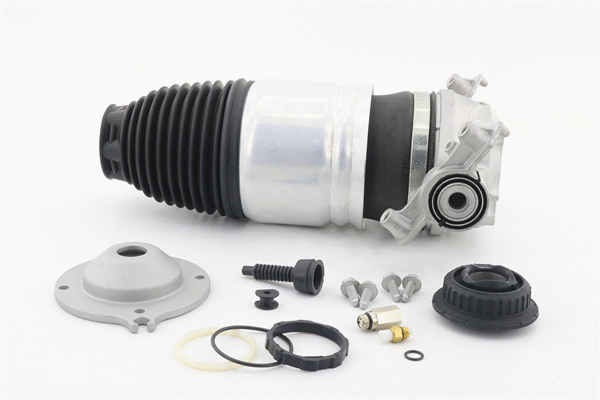 Air Spring, suspension (6410681)