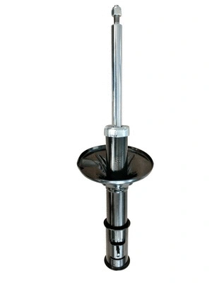 Shock Absorber (9261793)