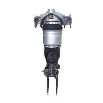 Air Suspension Strut (6160221)