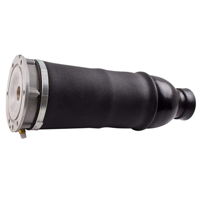 Air Spring, suspension (6411370)