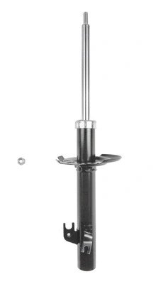 Shock Absorber (8250854)