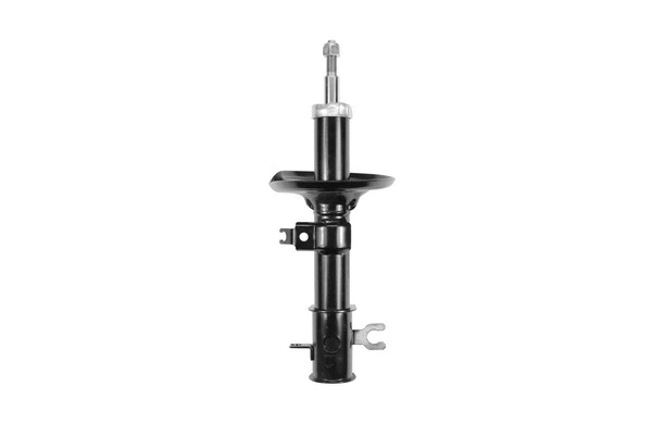 Shock Absorber (8250111)