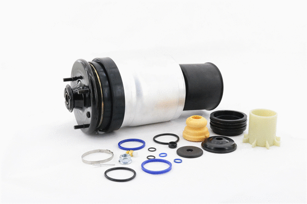 Air Spring, suspension (6410300)