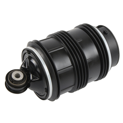 Air Spring, suspension (6510260)