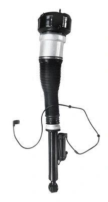 Air Suspension Strut (6160042)