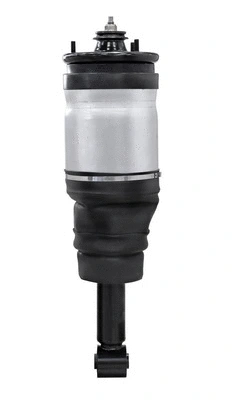 Air Suspension Strut (6150300)