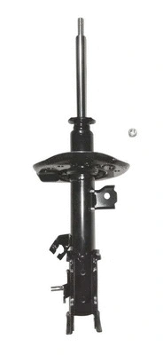 Shock Absorber (8260816)