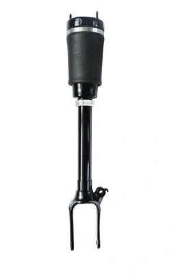 Air Suspension Strut (6150050)