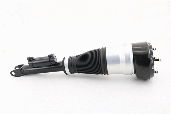 Air Suspension Strut (6160411)