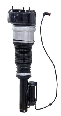 Air Suspension Strut (6160030)