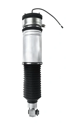 Air Suspension Strut (6160122)