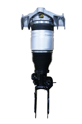 Air Suspension Strut (6160211)