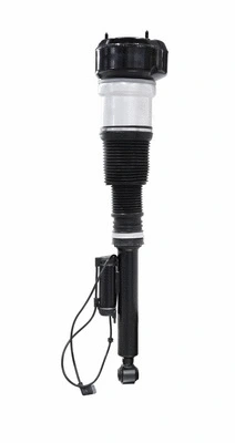 Air Suspension Strut (6160041)