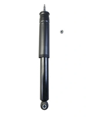 Shock Absorber (7170074)