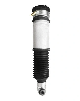 Air Suspension Strut (6150021)