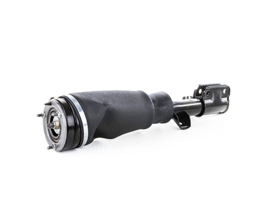 Air Suspension Strut (6160312)