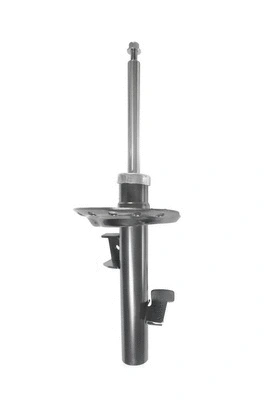 Shock Absorber (8260957)
