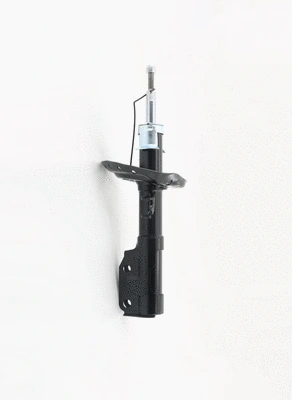 Shock Absorber (8250779)