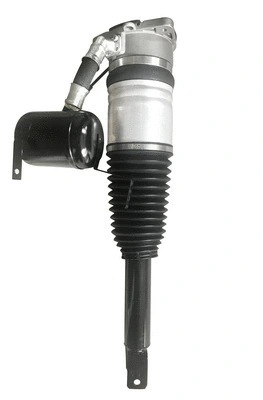 Air Suspension Strut (6160201)