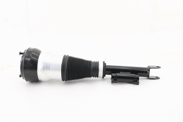 Air Suspension Strut (6160412)