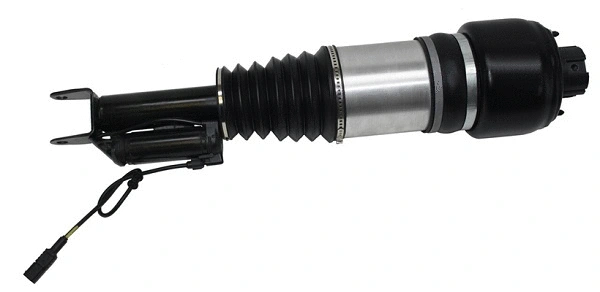 Air Suspension Strut (6160932)