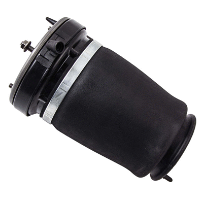 Air Spring, suspension (6410872)
