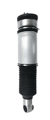 Air Suspension Strut (6150022)