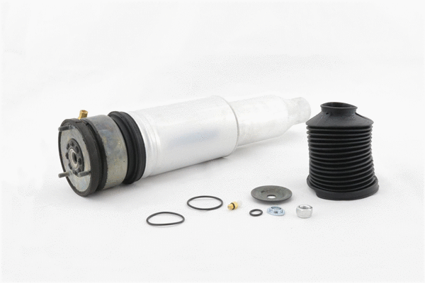 Air Spring, suspension (6410020)