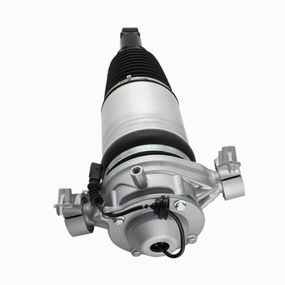 Air Suspension Strut (6160682)