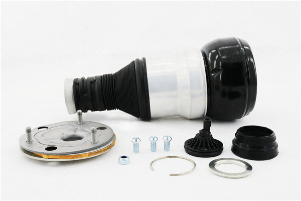 Air Spring, suspension (6410420)