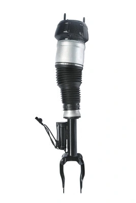 Air Suspension Strut (6160232)