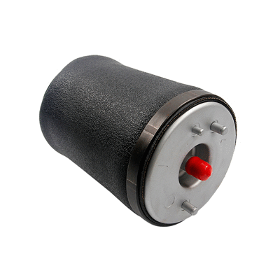 Air Spring, suspension (6510062)