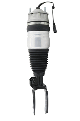 Air Suspension Strut (6160671)