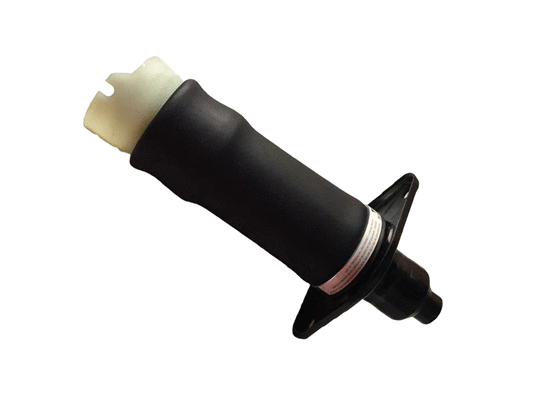 Air Spring, suspension (6411381)