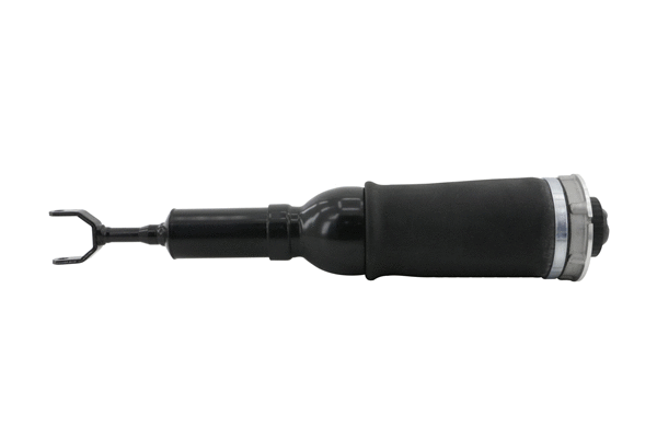 Air Suspension Strut (6151370)