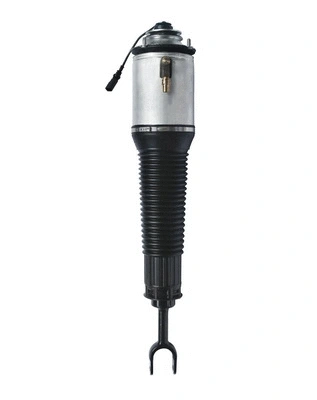 Air Suspension Strut (6160192)
