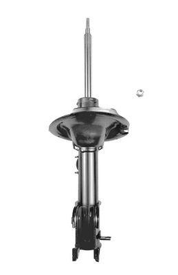 Shock Absorber (9262653)