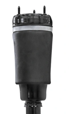 Air Suspension Strut
