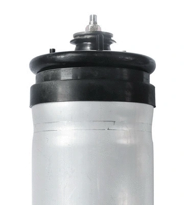 Air Suspension Strut