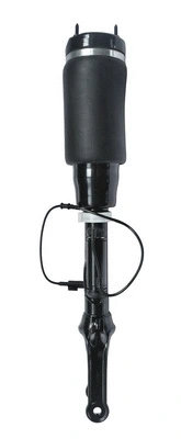 Air Suspension Strut (6160250)