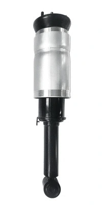 Air Suspension Strut (6150290)