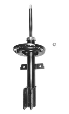 Shock Absorber (8250851)