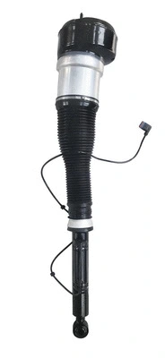 Air Suspension Strut