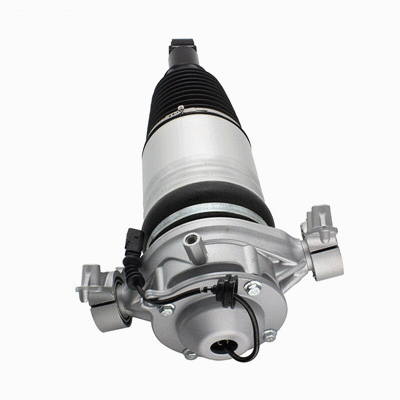 Air Suspension Strut (6160681)