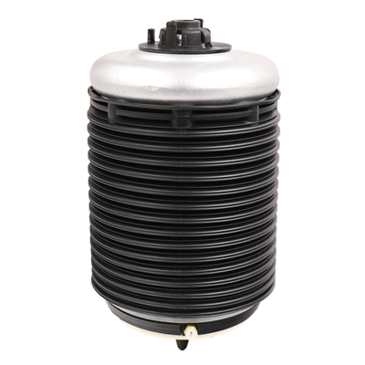 Air Spring, suspension (6510642)